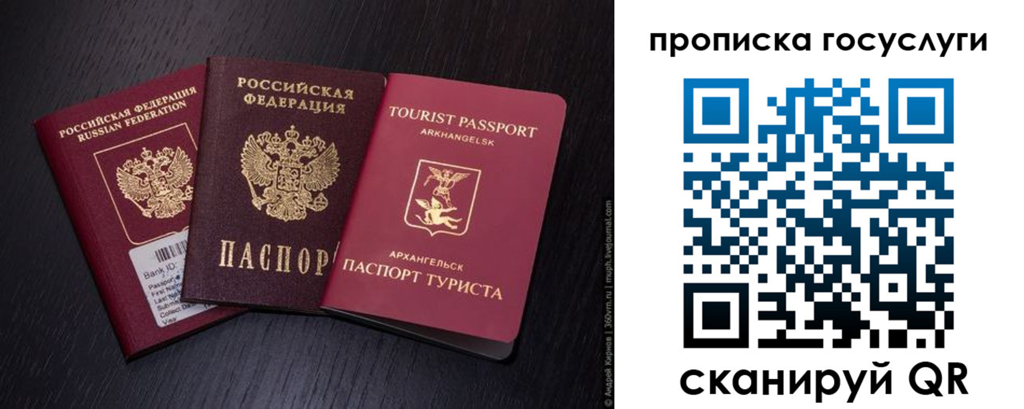 прописка 2025 в Красном Куте